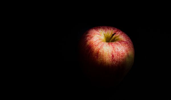 Pomme, plante, la photographie, fruit, doux, fleur