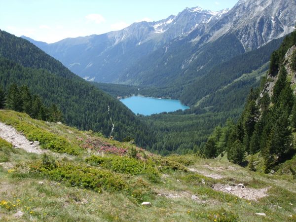 landscape, tree, grass, wilderness, mountain, sky