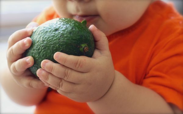 hand-,fabriek,fruit,eten,groen,ingrediënt