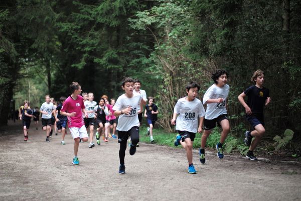 pessoa, esporte, corrida, corre, menina, Garoto