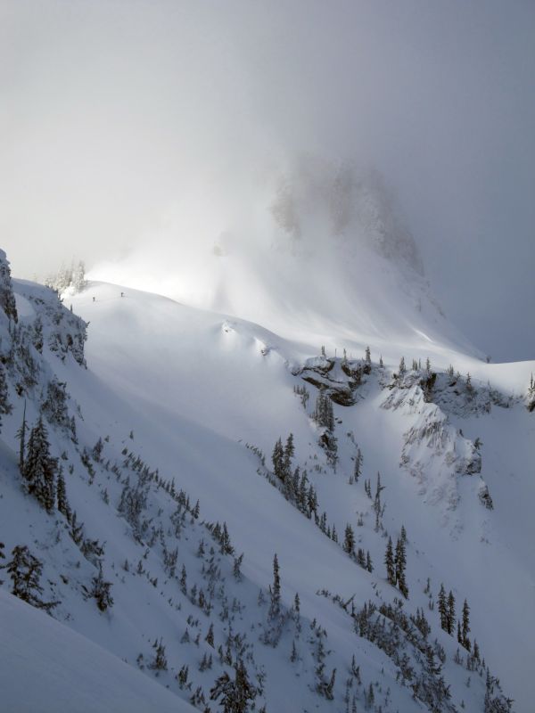 山,雪,冬季,山脉,天气,野外