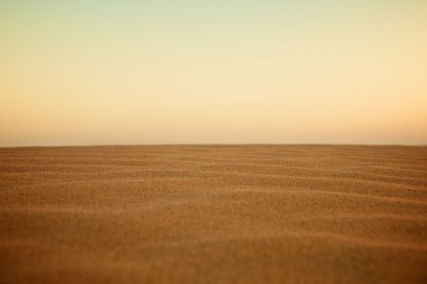 panorama,areia,horizonte,nascer do sol,campo,pradaria