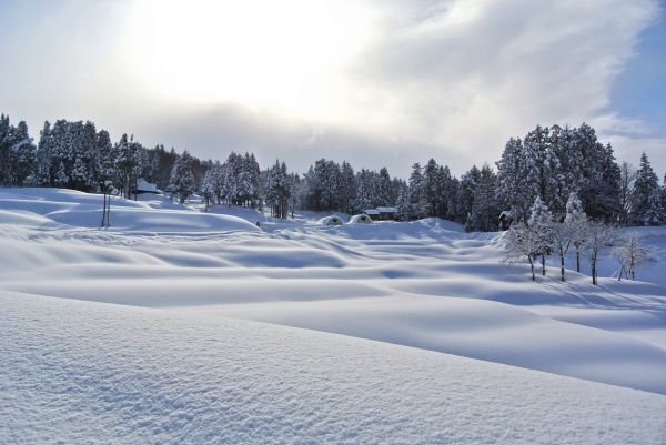 wit,landschap,berg-,sneeuw,winter,grond