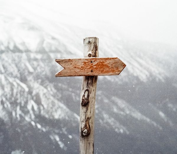 natura,sentiero,la neve,freddo,inverno,sentiero