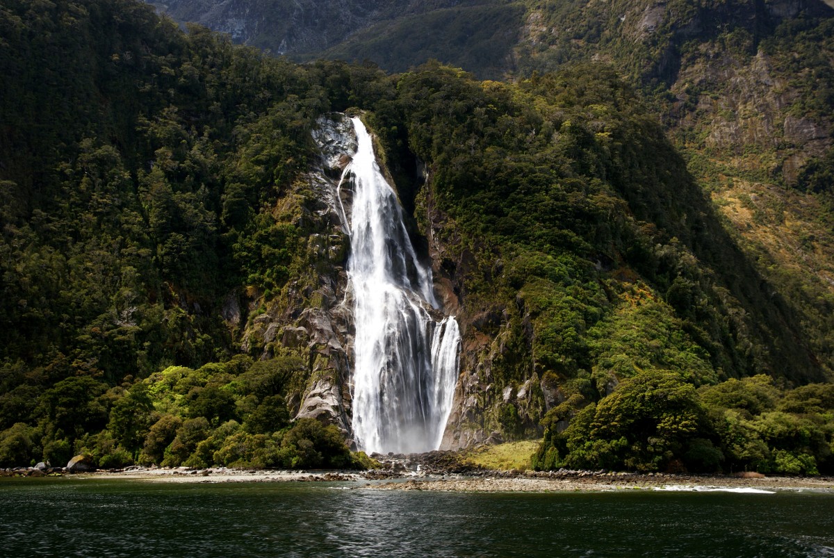 景观, 水, 性质, 森林, 岩, 瀑布, 荒野, 湖, 野生动物, 峡湾, 国家公园, 水体, 山, 新西兰, 雨林, 瀑布, wasserfall, flickereite, fiordland, fiordlandnationialpark, 船程, grandpacifictours, jucycruises, highcliff, 午餐巡游, 世界遗产, bowenfalls, 水特征