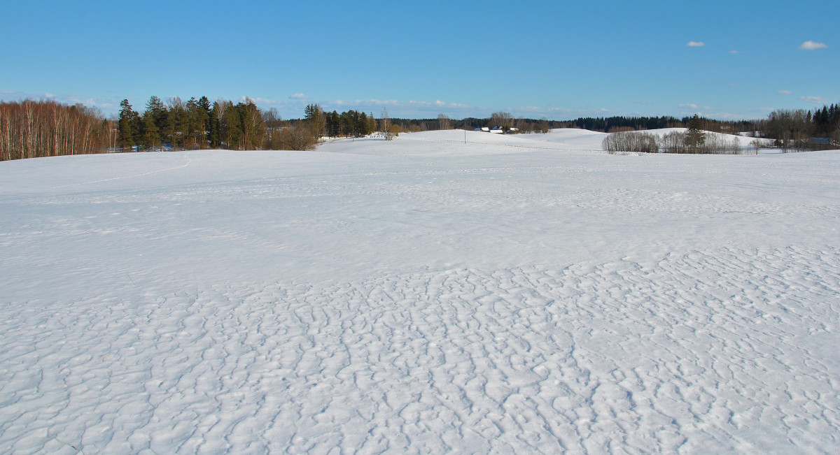 paesaggio, natura, foresta, all'aperto, la neve, freddo, inverno, cielo, bianca, brina, ghiaccio, panoramico, tempo metereologico, blu, artico, stagione, nevicata, contento, ghiacciato, pista, congelamento, fenomeno geologico