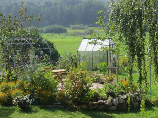 arbre,ferme,Prairie,fleur,botanique,étang