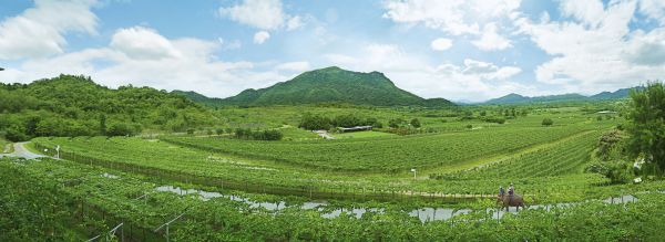 panorama,natureza,montanha,céu,campo,fotografia