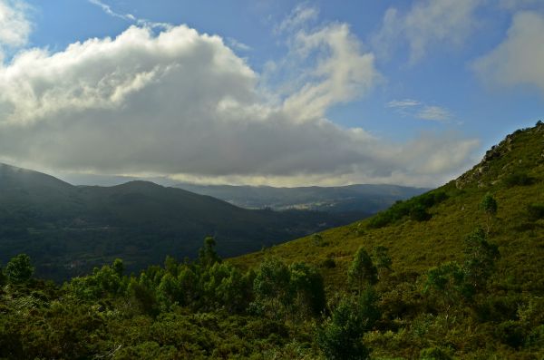 Landschaft,Baum,Natur,Wald,Wildnis,Berg