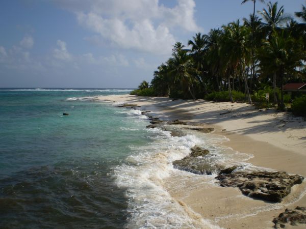 beach,sea,coast,sand,ocean,shore