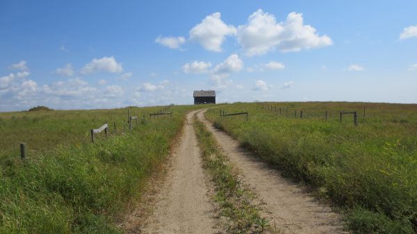 landscape, nature, grass, outdoor, road, trail