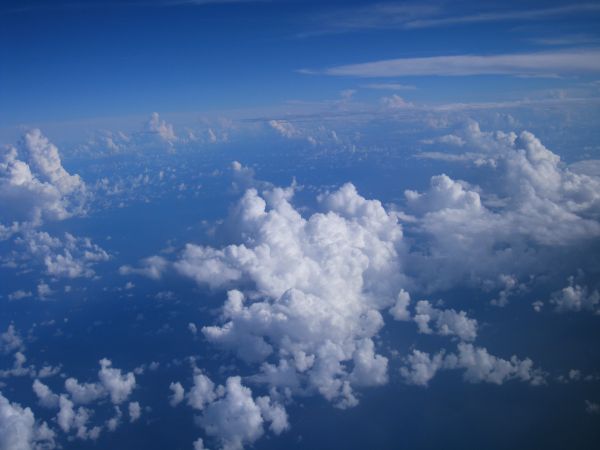 海, 地平線, 雲, 空, 白, 翼