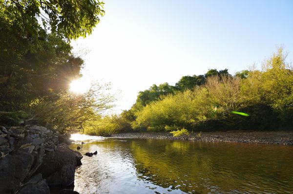 пейзаж,дерево,воды,природа,пустыня,Солнечный лучик