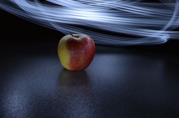 ligero, planta, fotografía, hoja, manzana, Fruta