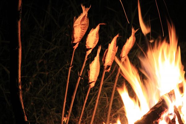 bbq, flame, fire, light, sparkler, darkness