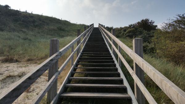 track, bridge, beach, landscape, wood, dune