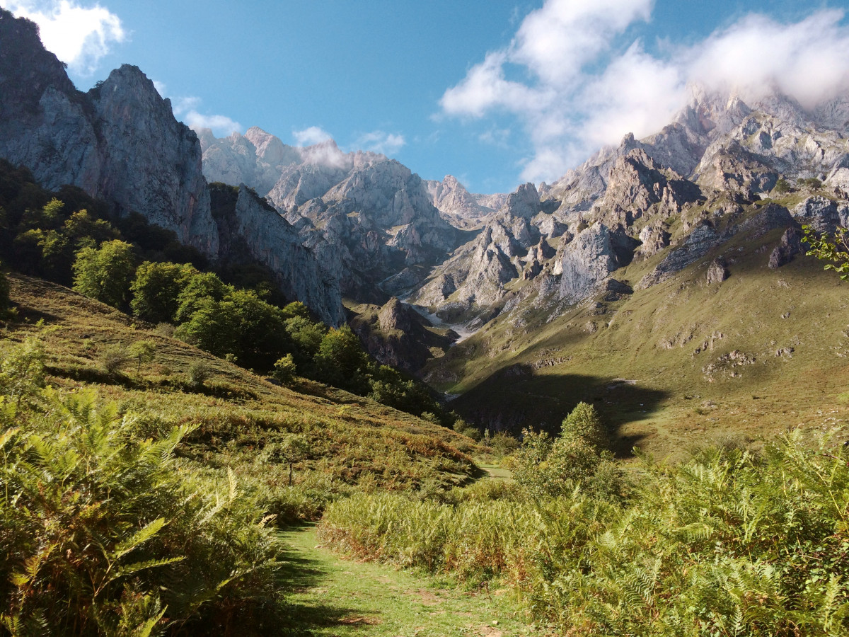 landschap, boom, natuur, rots, wildernis, wandelen, berg-, wolk, wandelen, spoor, weide, heuvel, meer, avontuur, vallei, bergketen, nok, Alpen, backpacken, plateau, viel, landform, bergpas, geografisch kenmerk, bergachtige landforms