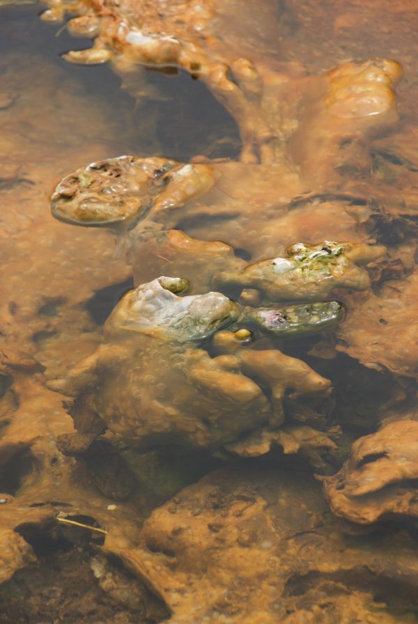 paisaje,mar,agua,naturaleza,rock,suelo