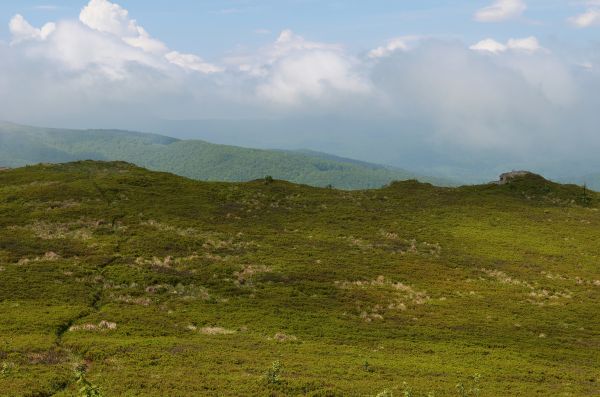 landskab, natur, græs, horisont, ødemark, bjerg