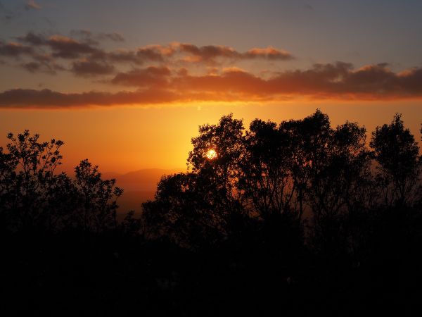 horizonte,nube,cielo,sol,amanecer,naturaleza