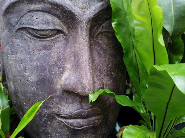 monument,statue,flower,tranquility,green,jungle