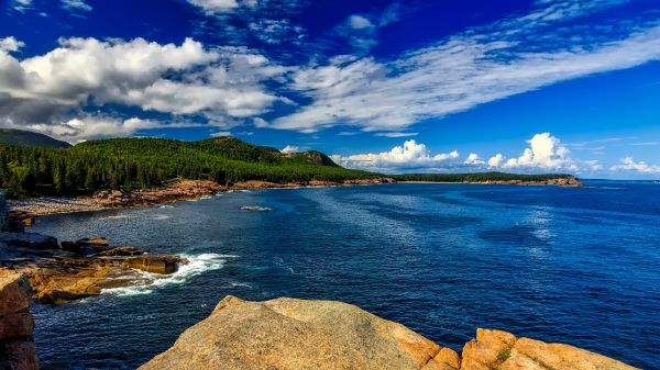 paisaje, mar, costa, agua, naturaleza, bosque