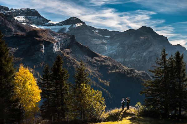 paesaggio,natura,natura selvaggia,montagna,albero,all'aperto