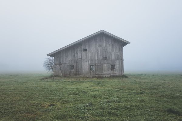 paisaje,césped,al aire libre,campo,niebla,niebla