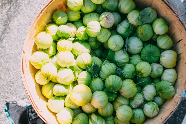 piatto,cibo,produrre,verdura,cavolini di Bruxelles,pianta fiorita