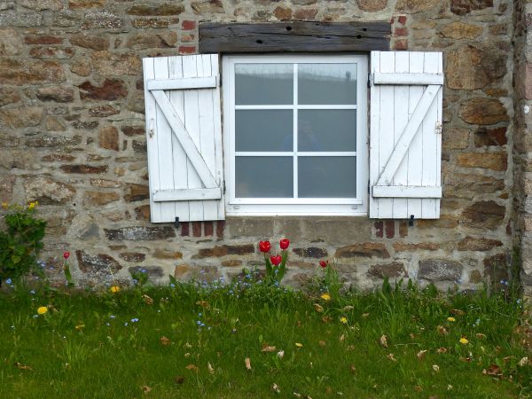 blanco,casa,ventana,edificio,antiguo,granero