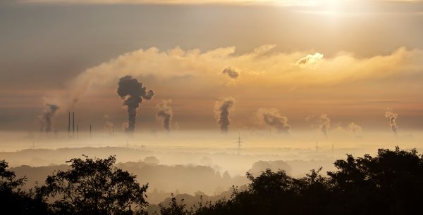 pohon,pemandangan,horison,awan,hitam dan putih,Arsitektur