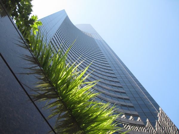 architectuur,zonlicht,venster,glas,perspectief,gras