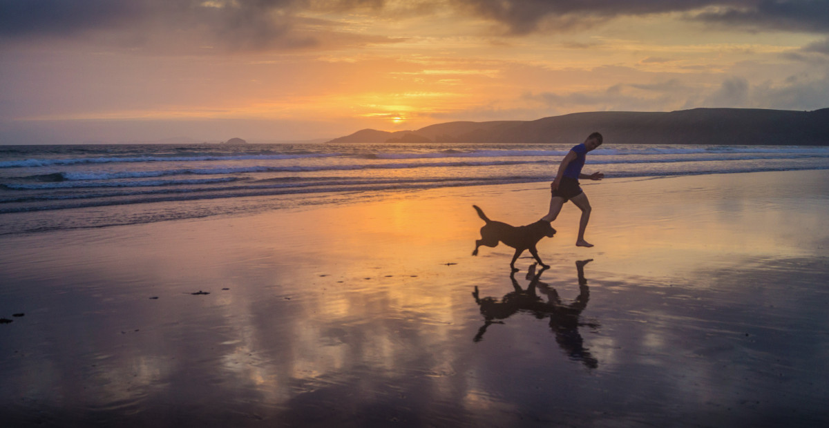 homme, plage, mer, côte, eau, le sable, océan, horizon, silhouette, nuage, Soleil, lever du soleil, le coucher du soleil, lumière du soleil, nuageux, Matin, colline, rive, vague, empreinte, garçon, fonctionnement, courir, heure, Aube, chien, crépuscule, soir, crépuscule, d'or, réflexion, bleu, ensemble, noir, ami, Empreintes de pas, réfléchir, Royaume-Uni, sablonneux, ensoleillé, Collines, Pays de Galles, vagues, des nuages, tête, Reflétant, Réflexions, Silhouettes, Labrador, Reflète, vallonné, Nouveau gale, Pembrokeshire, Exécute, ondulé, Amis, Retraité, Tsart, Phénomène atmosphérique