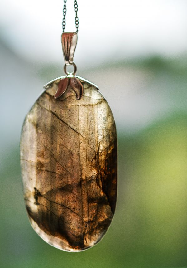 naturaleza, hoja, piedra, decoración, verde, rama