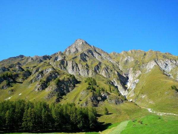 krajina,strom,Příroda,les,divočina,hora