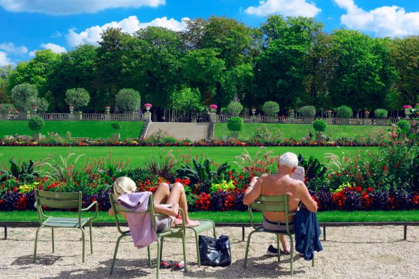 peluză,floare,fermă,citind,bronzare,parc