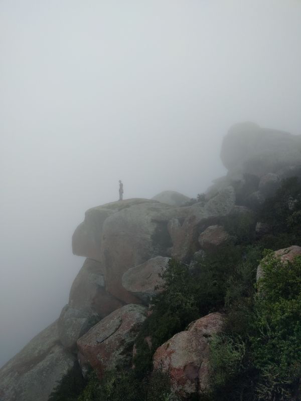 シルエット,海,海岸,岩,人,山