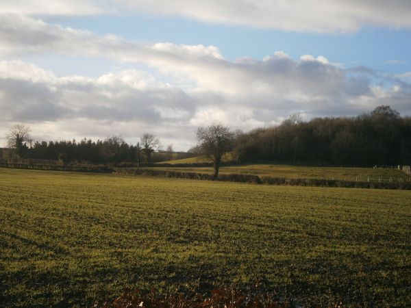 krajina, strom, príroda, tráva, vonkajšie, horizont