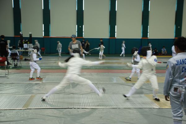 Hàng rào,các môn thể thao,Giấy bạc,Người đánh kiếm,Epee,môn thể thao chiến đấu