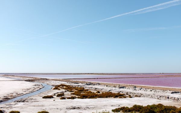 de praia, panorama, mar, costa, agua, natureza