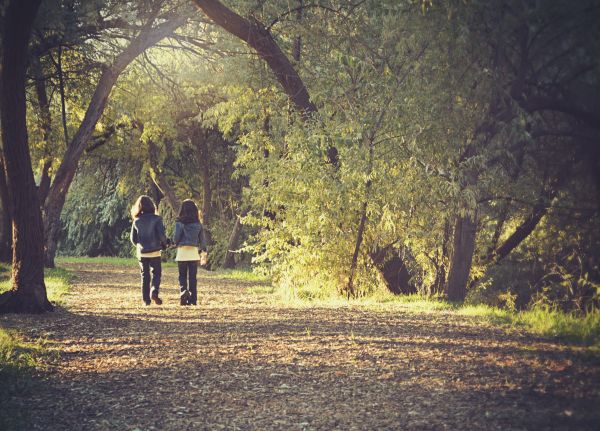 Natur,Baum,Wald,Pfad,Gras,Person