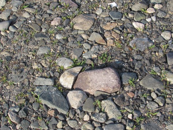 natur, sand, stein, tekstur, landskap, brostein