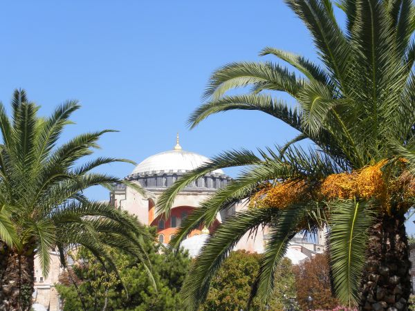 die Architektur, Himmel, Gebäude, Baum, Pflanze, Blume