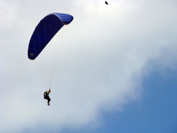 laut, alam, gunung, sayap, langit, burung