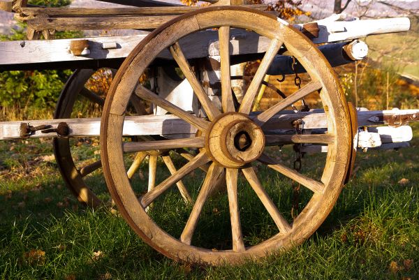 wood,farm,wheel,cart,vehicle,spoke