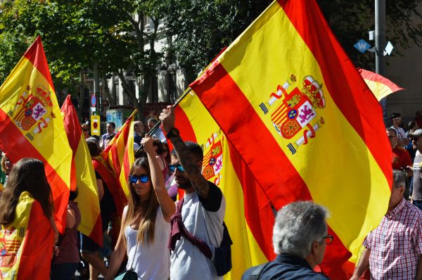 mensen, menigte, demonstratie, vlag, evenement, publieksevenement