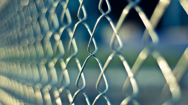 water,wing,light,fence,photography,sunlight