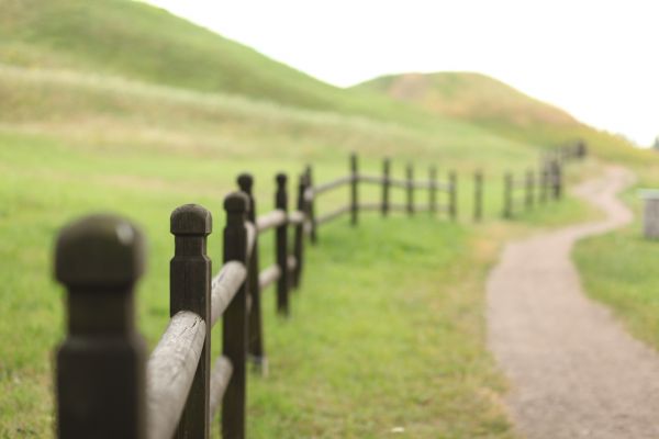 nature,grass,fence,wood,landscape,field