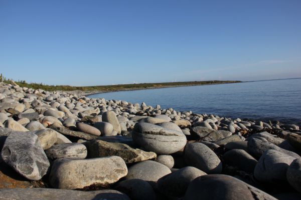 Strand, hav, kyst, vann, natur, utendørs