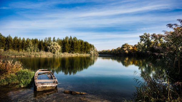 пейзаж,дерево,воды,природа,пустыня,небо